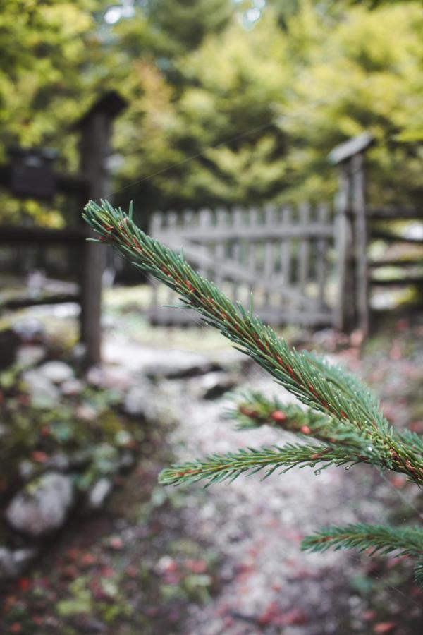 Cottage Trenta ボヴェツ エクステリア 写真